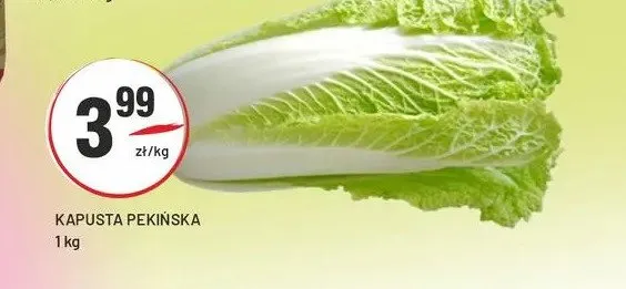Kapusta pekińska promocja w Sedal