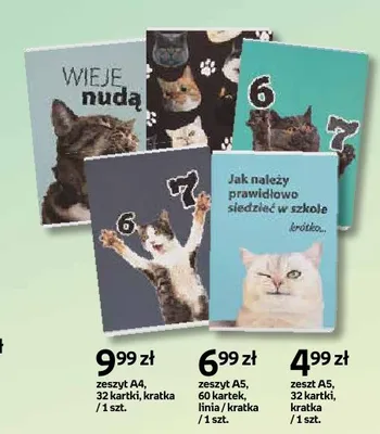 Zeszyt A5 z kotami 60 kartek kratka promocja w Empik