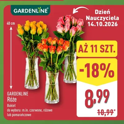 Róże bukiet Gardenline promocja w Aldi