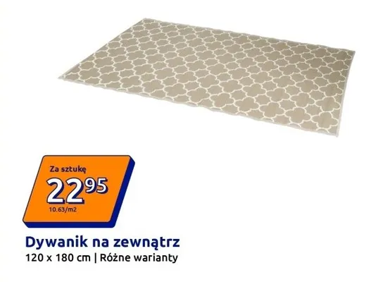 Dywanik na zewnątrz promocja w Action