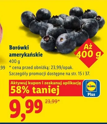 Borówki amerykańskie promocja w Lidl