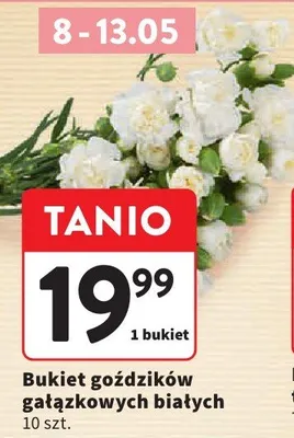 Bukiet goździków gałązkowych białych promocja w Intermarche
