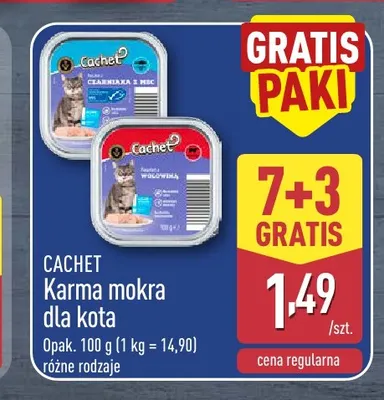 Karma mokra dla kota Cachet promocja w Aldi