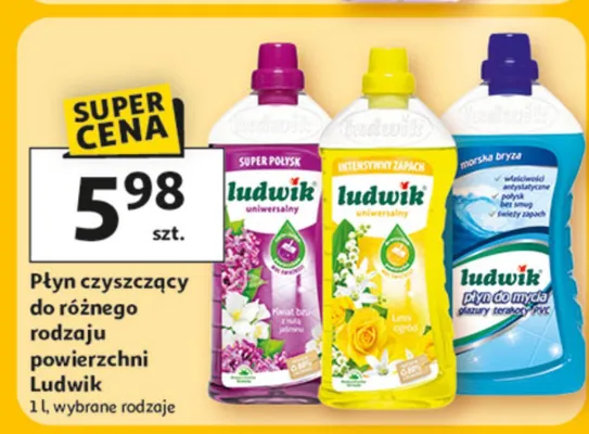 Płyn czyszczący do różnego rodzaju powierzchni Ludwik promocja w Auchan