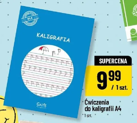 Ćwiczenia do kaligrafii A4 Gatis promocja w POLOmarket