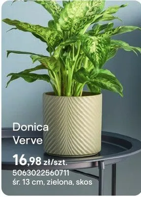Donica Verve zielona, skos promocja w Castorama