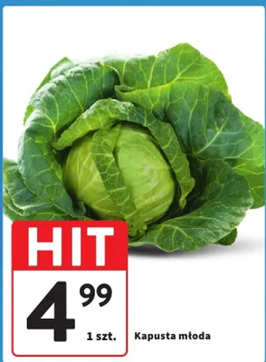 Kapusta młoda promocja w Intermarche