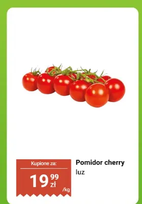Pomidor cherry luz promocja w Dino