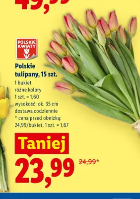 Polskie tulipany 15-pak wys. ok. 35cm promocja w Lidl