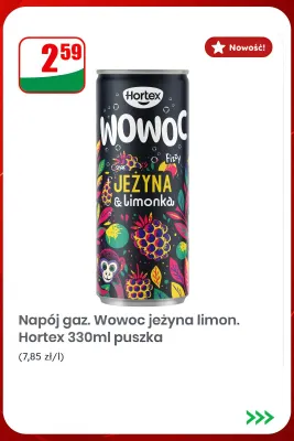 Napój gazowany Hortex Wowoc jeżyna limonka promocja w Dino
