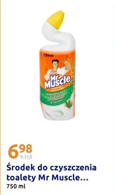 Środek do czyszczenia toalety promocja w Action