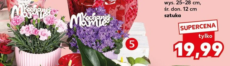 Dzwonek z pikiem w osłonce wys. 25-28cm śr. don. 12cm promocja w Kaufland