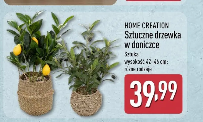 Sztuczne drzewka w doniczce HOME CREATION wysokość 42-46cm promocja w Aldi