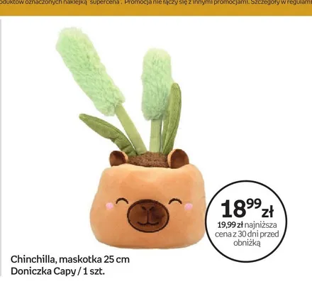 Maskotka Chinchilla Doniczka Capy 25 cm promocja w Empik
