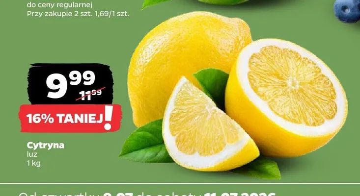 Cytryna luz promocja w Netto
