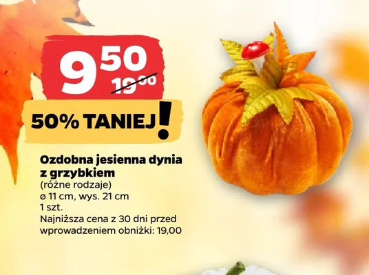 Ozdobna jesienna dynia z grzybkiem promocja w Netto