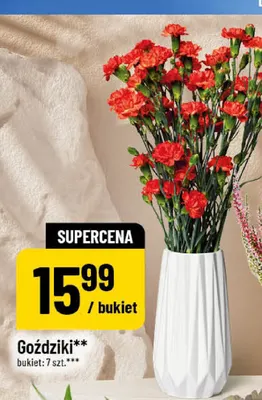 Goździki promocja w POLOmarket