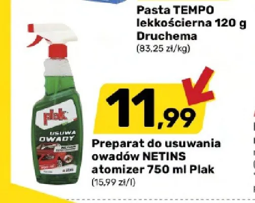 Preparat do usuwania owadów NETINS atomizer Plak promocja w Bricomarche