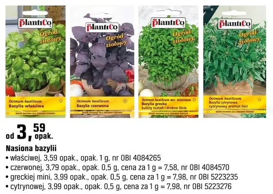 Nasiona bazylii greckiej mini promocja w OBI