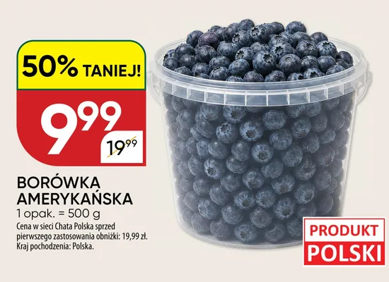 Borówka amerykańska polska promocja w Chata Polska