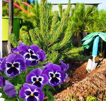 Katalog ogród, strona 123 promocja w Bricomarche