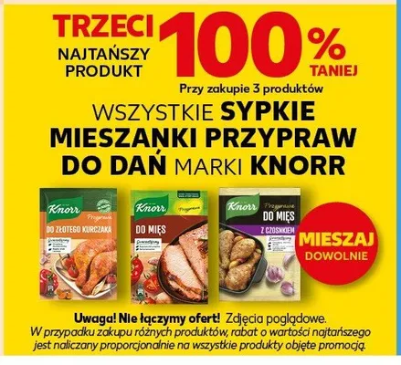 Sypkie mieszanki przypraw do dań Knorr promocja w Kaufland