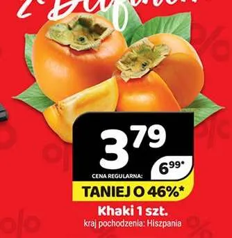 Khaki promocja w Delfin