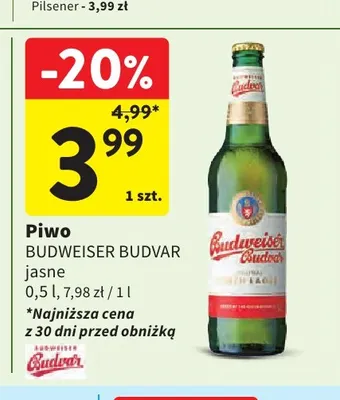 Piwo Budweiser Budvar promocja w Intermarche