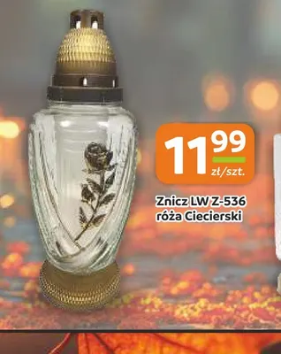 Znicz Lw Z-536 róża Ciecierski promocja w Społem Częstochowa