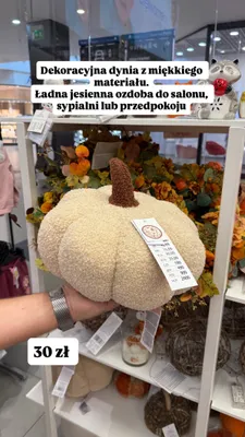 Dekoracyjna dynia promocja w Pepco