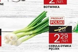 Cebula dymka pęczek polska promocja w Wafelek