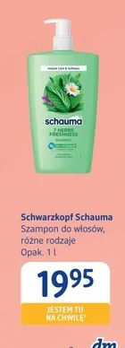 Szampon do włosów Schwarzkopf Schauma promocja w Drogerie DM