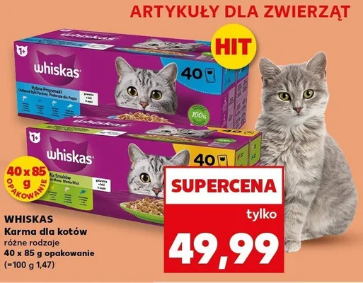 Karma dla kotów Whiskas promocja w Kaufland