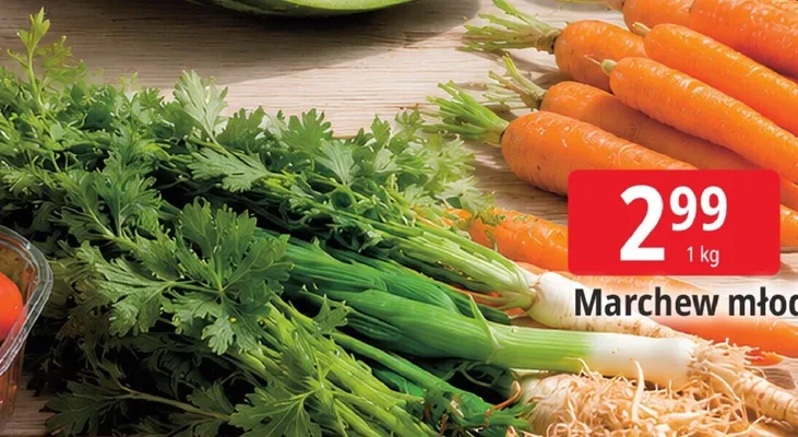 Marchew młoda promocja w Leclerc