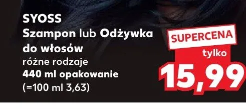 Szampon do włosów Syoss promocja w Kaufland
