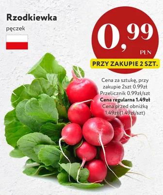 Rzodkiewka polska promocja w Market Point