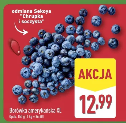 Borówka amerykańska XL promocja w Aldi
