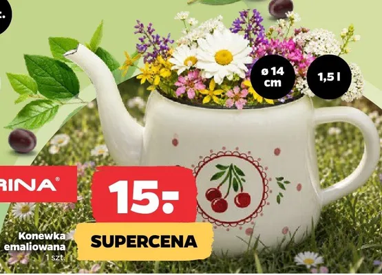 Konewka emaliowana Florina ø14cm promocja w Netto