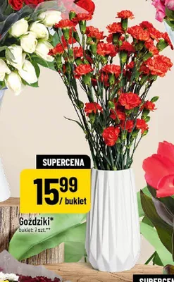 Goździki promocja w POLOmarket