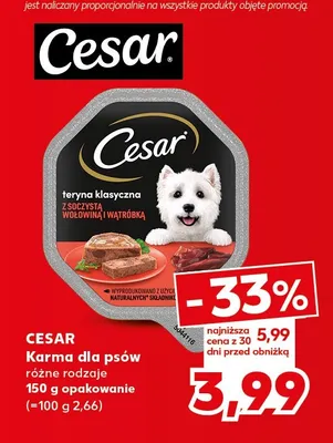 Karma dla psów Cesar teryna klasyczna z soczystą wołowiną i wątróbką promocja w Kaufland