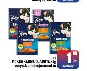 Mokra karma dla kota Felix promocja w Tomi Markt