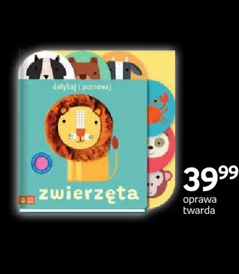 Książka Dotykaj i poznawaj Zwierzęta Zielona Sowa promocja w Empik