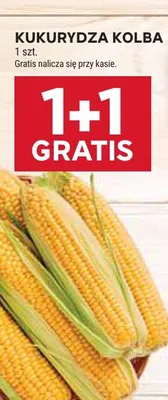 Kukurydza kolba promocja w Stokrotka