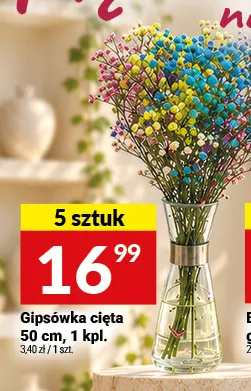 Gipsówka cięta 50 cm promocja w Twój Market