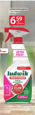 Spray do czyszczenia Ludwik promocja w Selgros