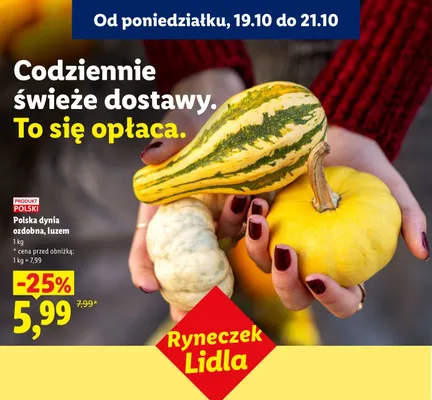 Dynia ozdobna polska promocja w Lidl