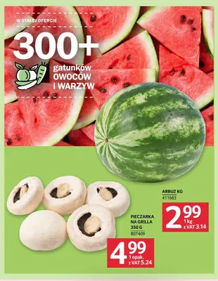Arbuz promocja w Selgros