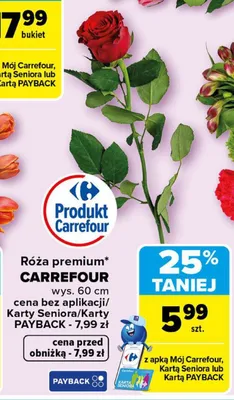 Róża premium promocja w Carrefour