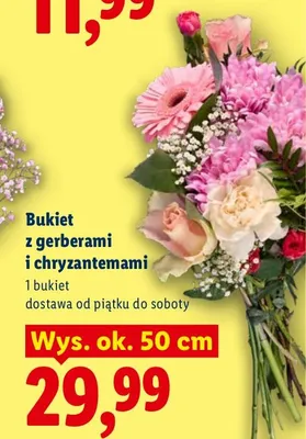 Bukiet z gerberami i chryzantemami promocja w Lidl