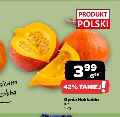 Dynia Hokkaido promocja w Netto